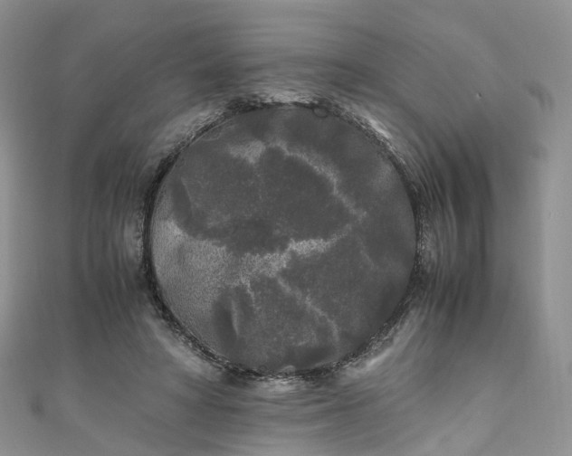 X0000111010402200906261523