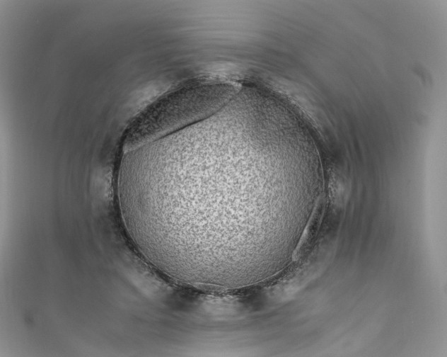 X0000111010403200906261523