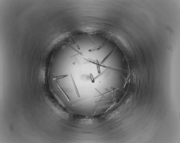 X0000111010404200906261523