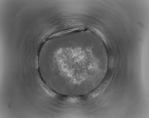 X0000111010405200906261523