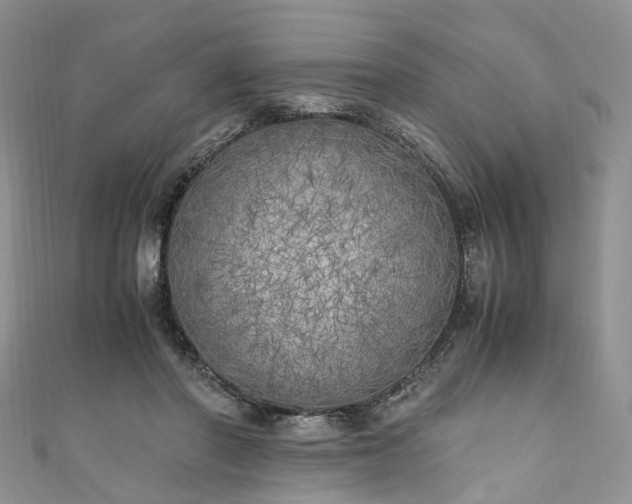 X0000111010406200906261523