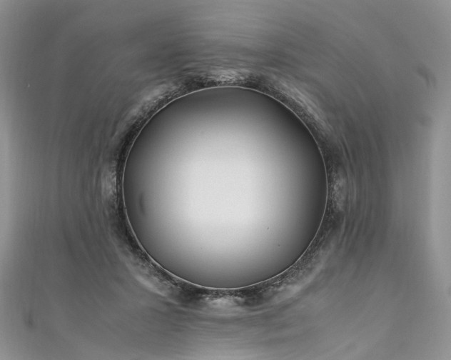 X0000111010407200906261523