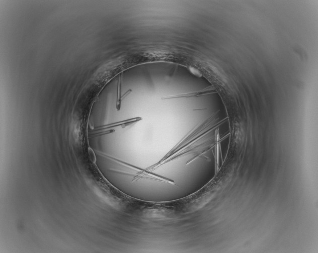 X0000111010408200906261523