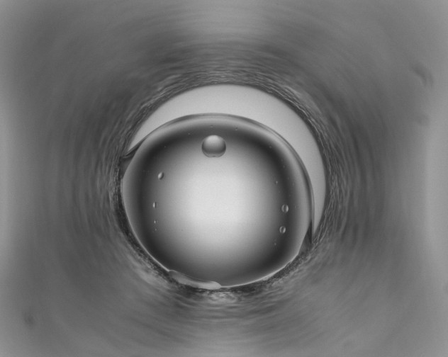 X0000111010409200906261523