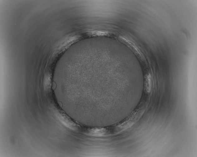 X0000111010410200906261523