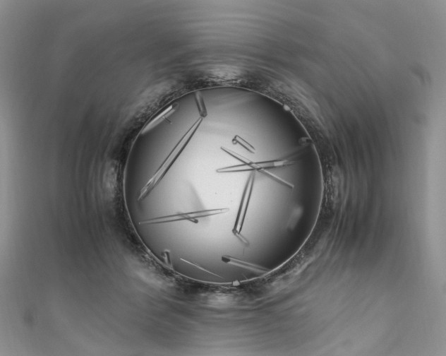 X0000111010412200906261523
