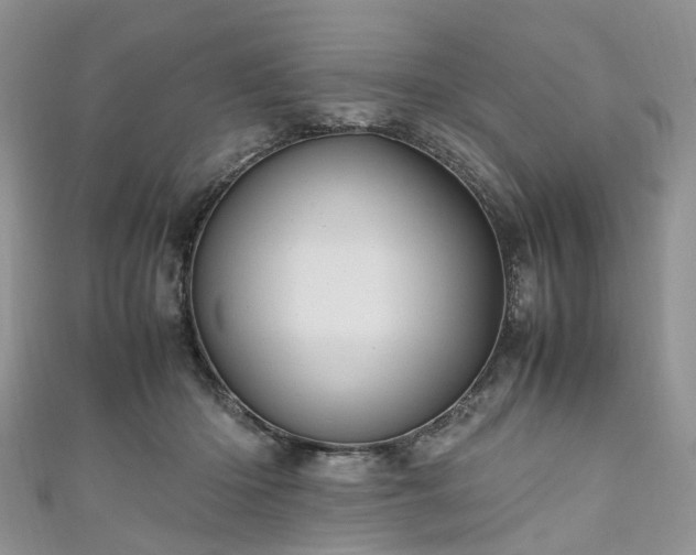 X0000111010414200906261523