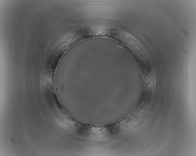 X0000111010415200906261523