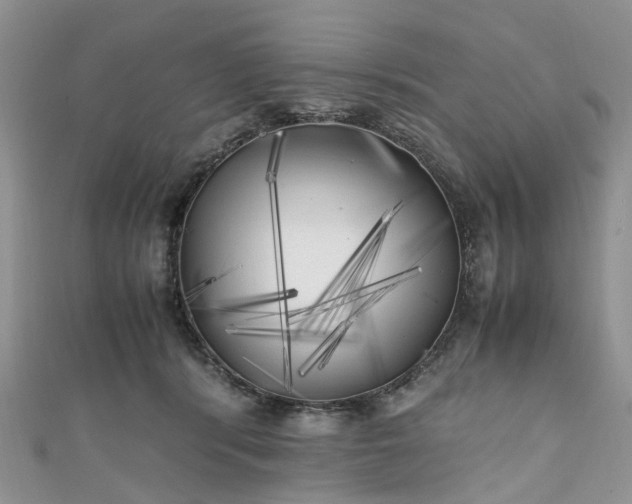 X0000111010416200906261523