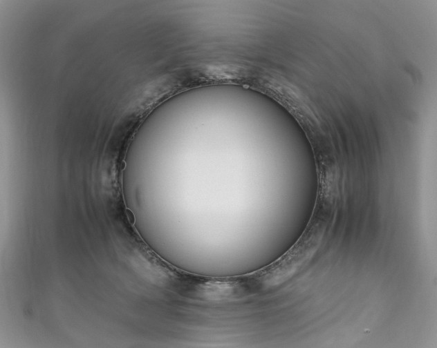 X0000111010418200906261523