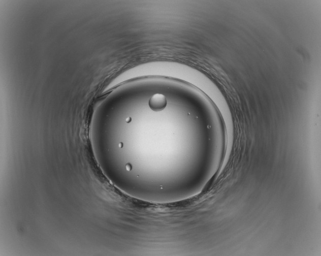 X0000111010419200906261523