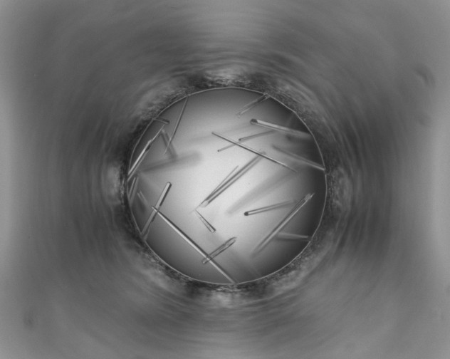 X0000111010420200906261523