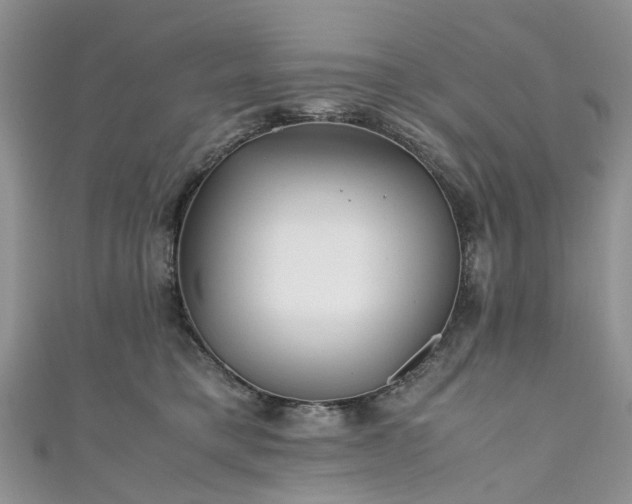X0000111010421200906261523