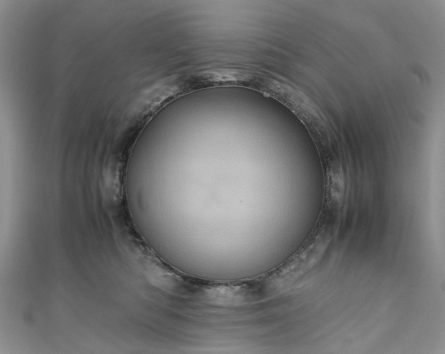 X0000111010422200906261523