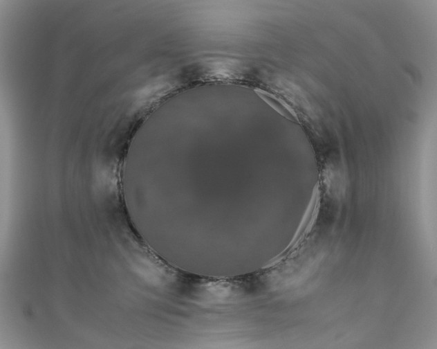 X0000111010423200906261523