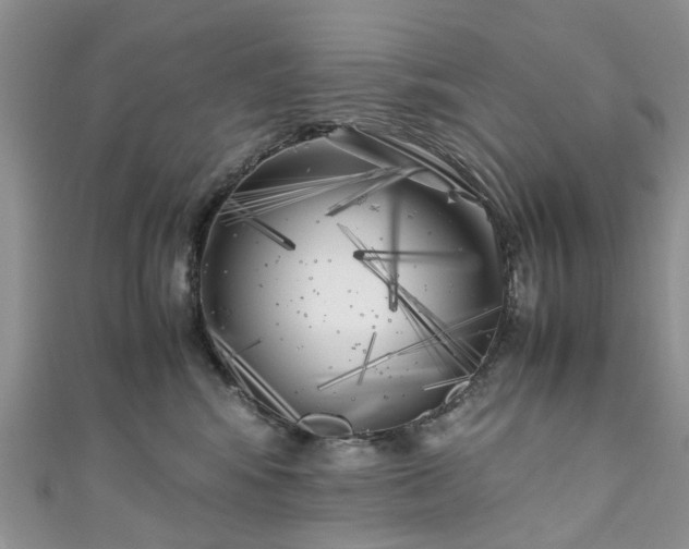 X0000111010424200906261523