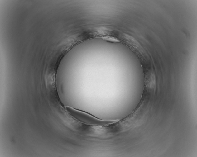 X0000111010425200906261523