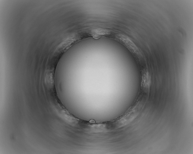 X0000111010426200906261523