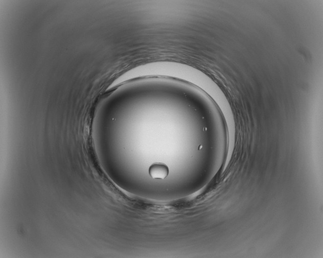 X0000111010427200906261523