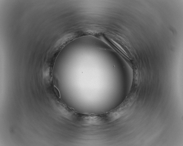 X0000111010428200906261523