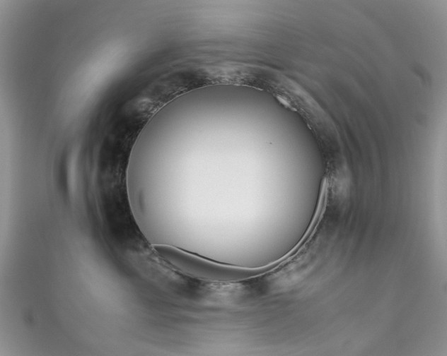 X0000111010429200906261523