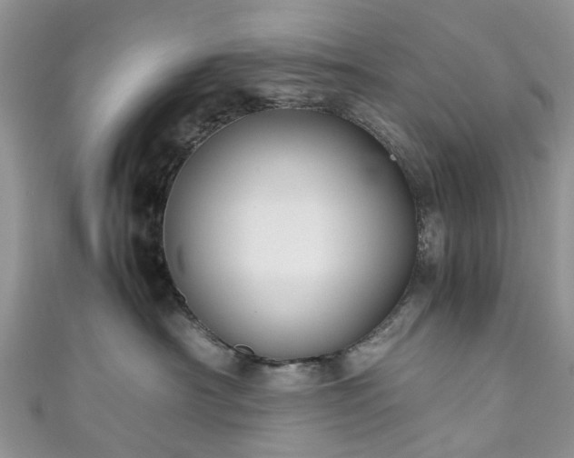 X0000111010430200906261523