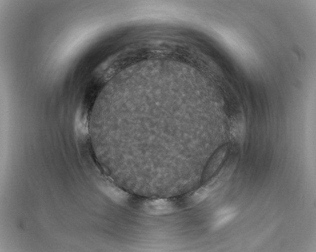 X0000111010431200906261523