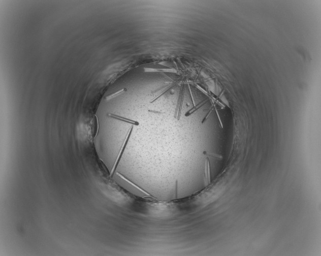 X0000111010432200906261523