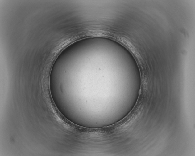 X0000111010433200906261522