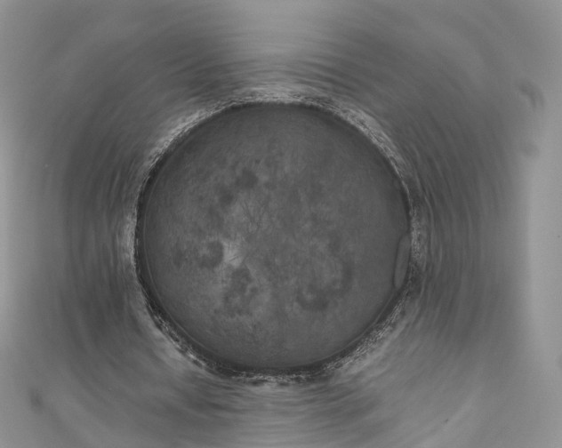 X0000111010434200906261523