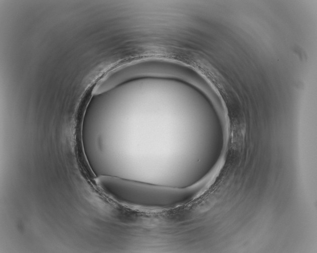 X0000111010436200906261523