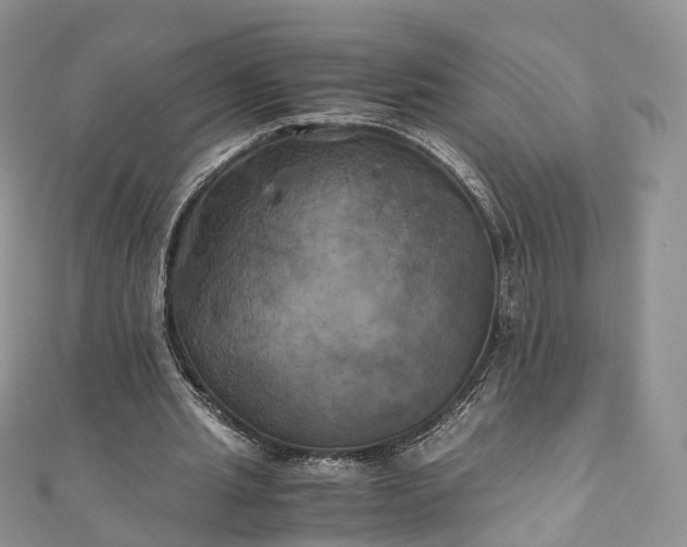 X0000111010437200906261523