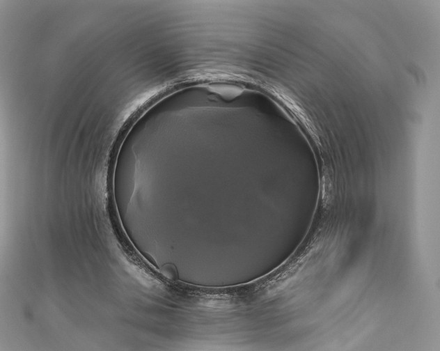 X0000111010438200906261523