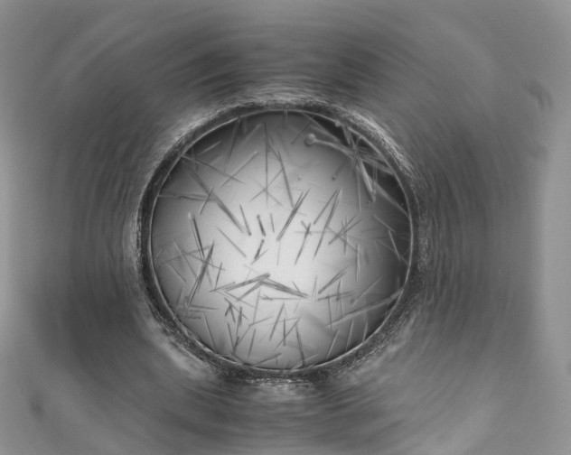X0000111010439200906261523
