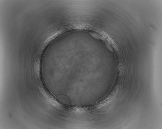 X0000111010442200906261523