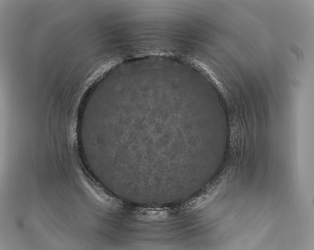 X0000111010443200906261523