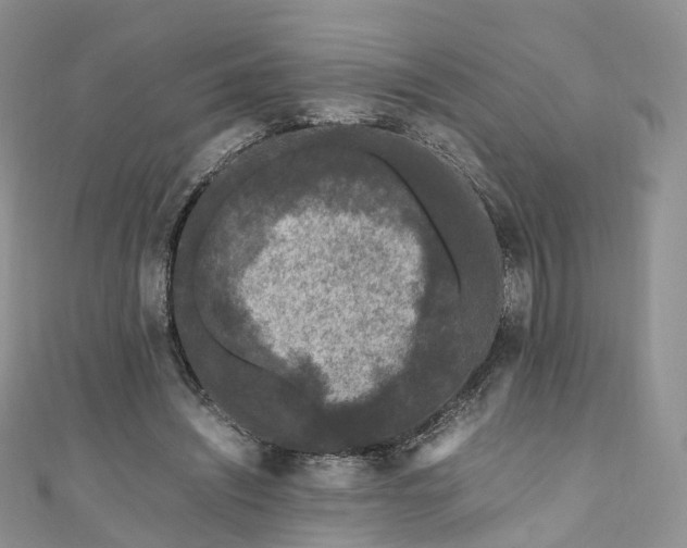 X0000111010444200906261523