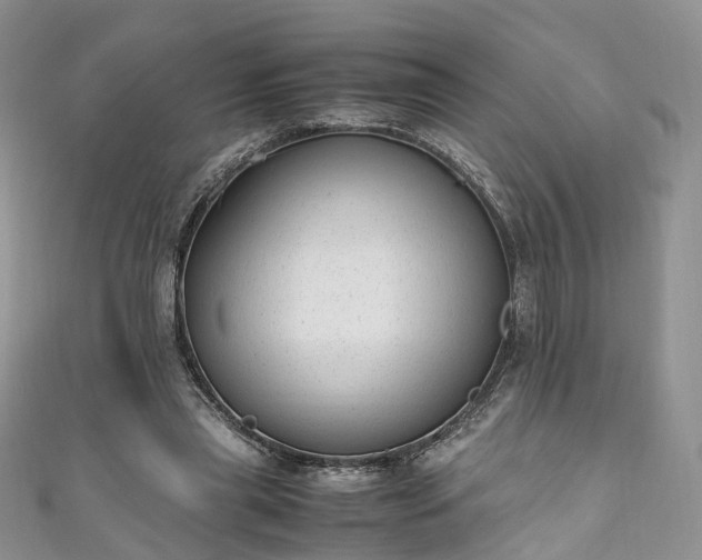X0000111010445200906261523