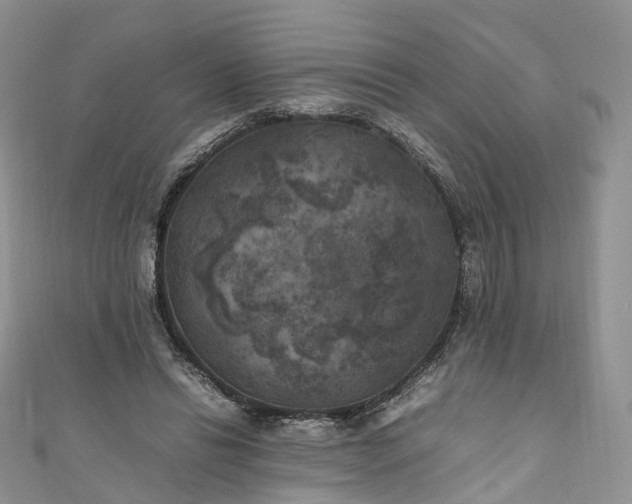 X0000111010446200906261523