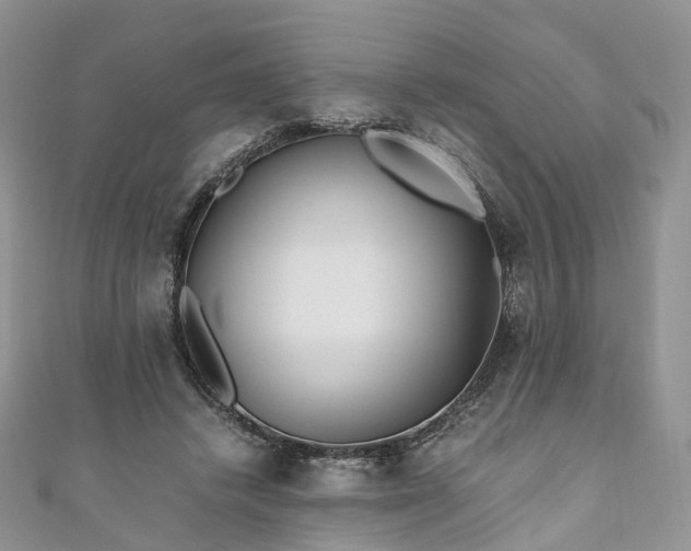 X0000111010448200906261523