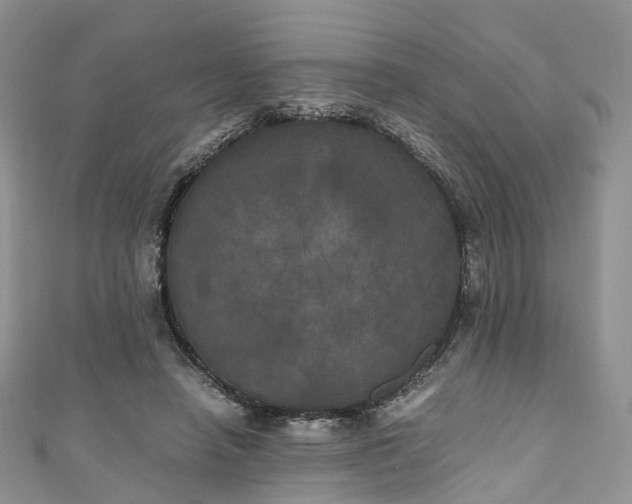 X0000111010450200906261523