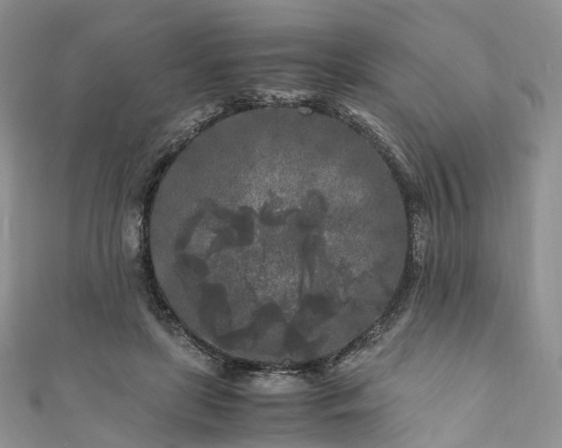 X0000111010451200906261523