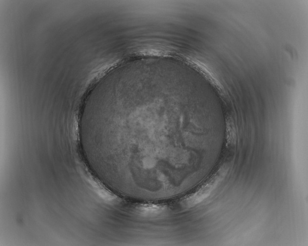 X0000111010453200906261523