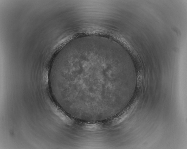 X0000111010454200906261523