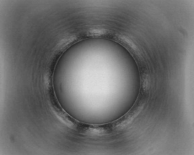 X0000111010455200906261523