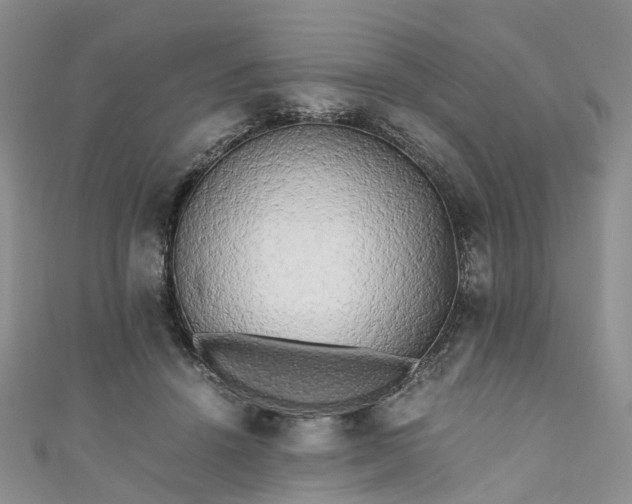 X0000111010456200906261523