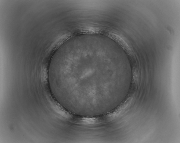 X0000111010457200906261523