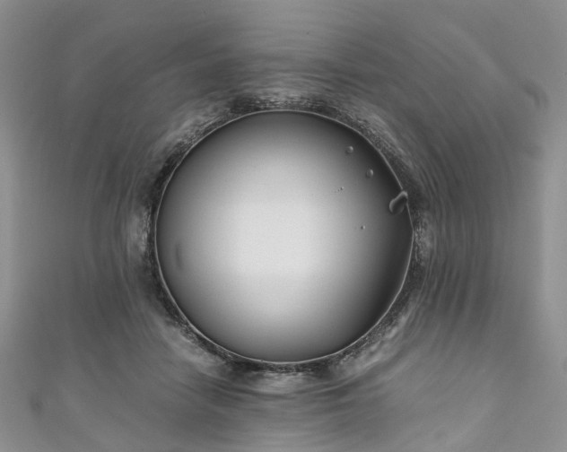 X0000111010458200906261523