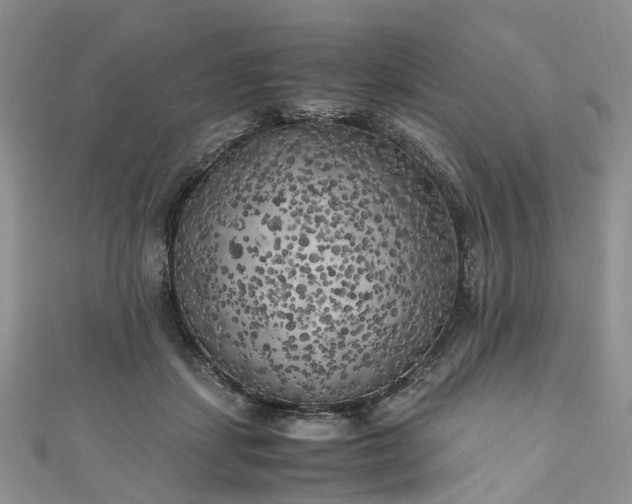 X0000111010459200906261523