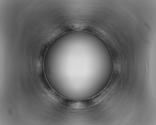 X0000111010460200906261523